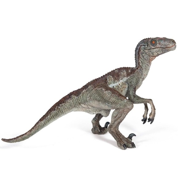 Velociraptor Dinosaur Figure - Hand Painted & Collectible Toy - Papo 55023 - Picture 1 of 7